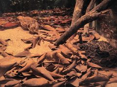 -泉州海丝野生动物世界