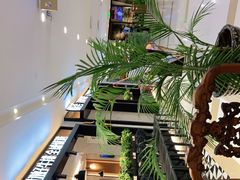 -高新活力汇Vitality