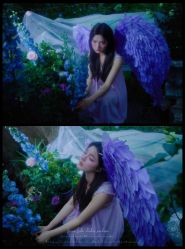 -WAVE SODA摄影工作室