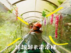 -英西峰林·洞天仙境