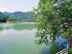 -广州白江湖森林公园