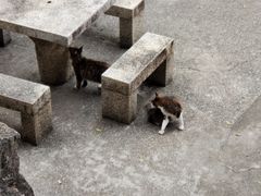 -鸿山公园