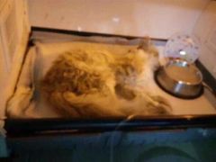 盛京一禾-盛京一禾