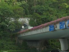 -狐尾山公园