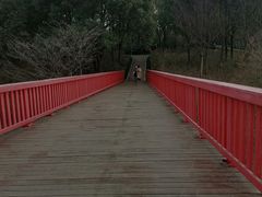 -美兰湖景区