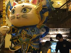 -more than meow吴止猫主题餐厅(承德 中船汇店)