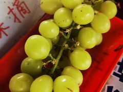 -马陆小张葡萄园农家乐