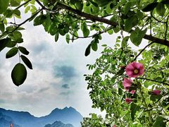 -秦岭风景区