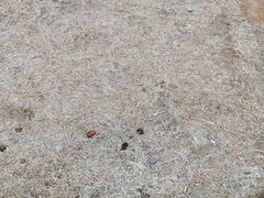-南长河公园