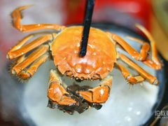 毛蟹-杏坛公平靓正(伦教滨江店)