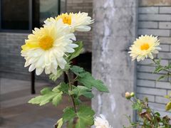 -老屋咖啡