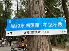 -东湖落雁景区