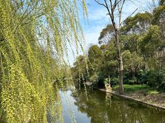 -上海滨江森林公园