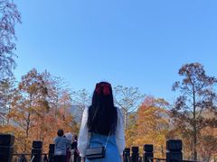 -田野绿世界