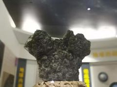 -中国第四纪冰川遗迹陈列馆