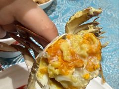 -北塘海鲜·天津菜·鲅鱼水饺是一绝(大光明桥旗舰店)