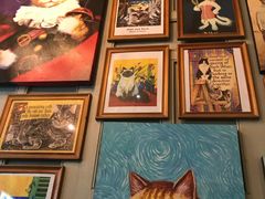 -猫咪博物馆(顶澳仔猫街店)