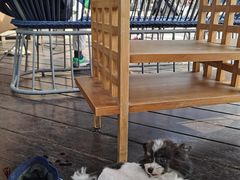 -The Rug Cafe(王府中环店)