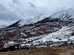 -亚拉雪山风景区