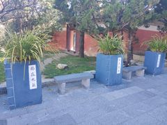 -天龙八部武侠城