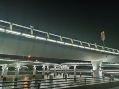 -演武大桥观景平台