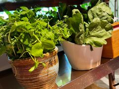 -牛村来人潮汕牛肉火锅(西单店)