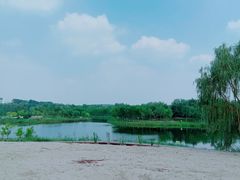 -东郊湿地公园