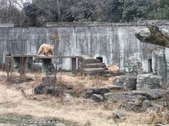 -宁波野生动物园