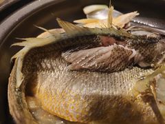 百秒黄花鱼-莆田餐厅PUTIEN(万象天地店)