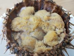 -海胆小馆(东北水饺·春柳店)