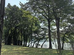 -荔湾湖公园