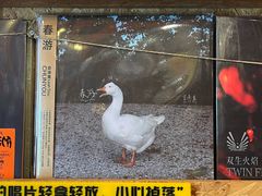 -独音唱片 Indie Music