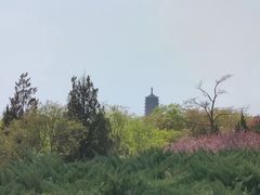 -永定河休闲森林公园