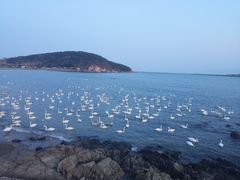 -烟墩角天鹅湖