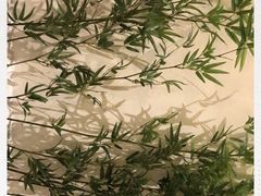 -东颖龙肥牛王(绵阳店)