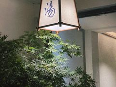 -汤宴·参须肚包鸡(南京路店)