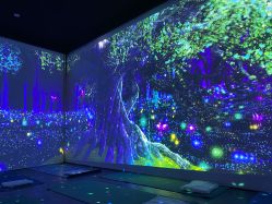 -虹桥迎宾馆·宴会厅