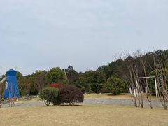 -铁山坪森林公园