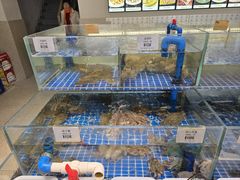 -舟山渔场(临安沙地路店)