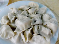 鲅鱼饺子-海岛渔村大酒店(云霄路店)