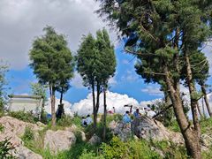 -长虫山生态公园风景林