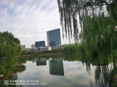 -大兴滨河森林公园