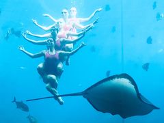 -瑞德姆美人鱼海底演艺主题餐厅(亚龙湾店)