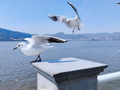 -昆明滇池国家级风景名胜区西山景区