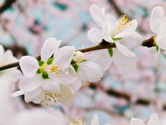 -红星美凯龙(东北全球家居1号店)