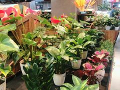 -果蔬好生活超市(乐堤港店)