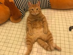 -满记甜品(大悦城店)