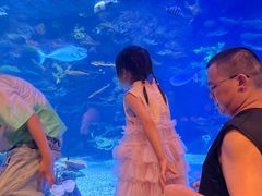 -欢乐海岸海洋奇梦馆