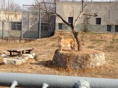 -西安秦岭野生动物园
