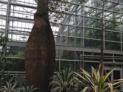 -南山植物园
